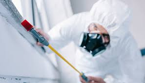 Best Pest Control for Multi-Family Homes  in Biola, CA